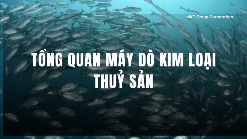 tong-quan-may-do-kim-loai-thuy-san- (1)