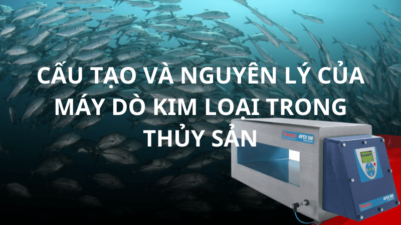 cau-tao-va-nguyen-ly-cua-may-do-kim-loai-trong-thuy-san-3