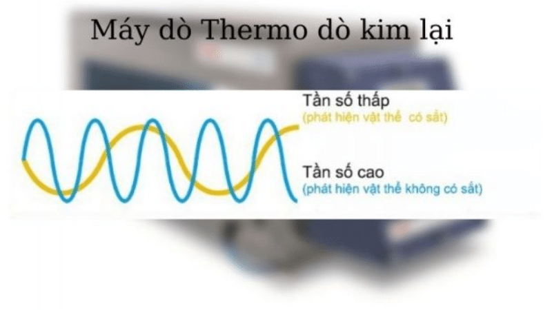 nguyen-ly-va-ung-dung-cua-may-do-kim-loai-trong-thuy-san-2