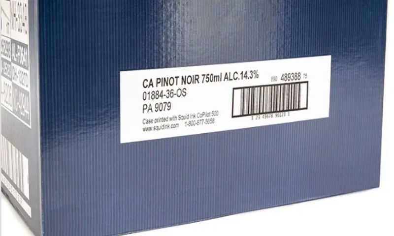 copilot500-ungdung-sp-4 (1)